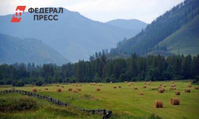 Дочь Пескова указала на проблемы туротрасли после поездки на Алтай
