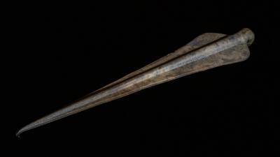 В Великобритании нашли уникальный наконечник копья возрастом более трех тысяч лет