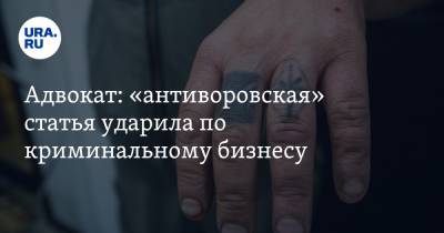 Иван Миронов - Адвокат: «антиворовская» статья ударила по криминальному бизнесу - ura.news