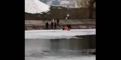 В Киеве на Русановке женщина провалилась под лед вслед за своей собакой – видео - ТЕЛЕГРАФ