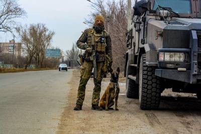 Собака помогла отыскать схрон боеприпасов в прифронтовой Авдеевке: фото