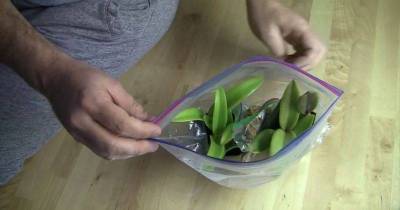 Лайфхак, как помочь орхидее нарастить корни, о котором мало кто знает