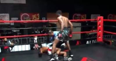 Яркий дебют: американский боксер разорвал Сеть брутальным нокаутом (видео)