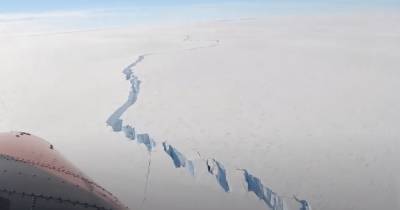 От Антарктиды откололся айсберг в полтора раза больше Киева (видео)