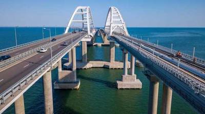 Из-за Крымского моста в Азовском море пропали редкие дельфины, – эколог