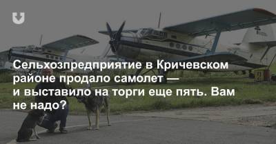Сельхозпредприятие в Кричевском районе продало самолет — и выставило на торги еще пять. Вам не надо?