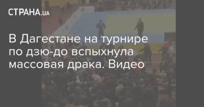 В Дагестане на турнире по дзю-до вспыхнула массовая драка. Видео