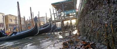 В Венеции пересохли водные каналы из-за низких приливов