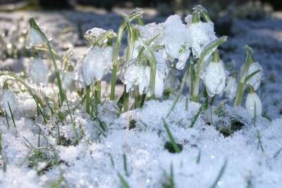 Морозы покинут Новосибирск в первую неделю весны: погода на 1-7 марта