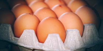 Несмотря на увеличение квот, яйца «держат цену»