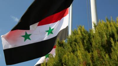 ЦПВС доложил о 24 атаках террористов в Идлибской зоне деэскалации