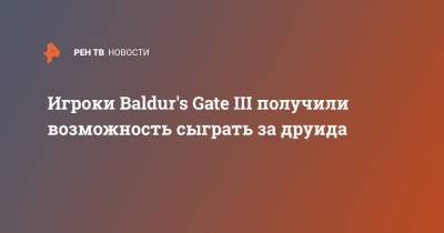 Игроки Baldur's Gate III получили возможность сыграть за друида