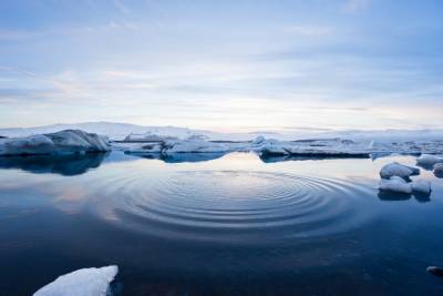 Ученые: к концу века в Арктике станет теплее на 20 градусов