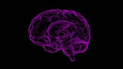 Британские ученые разработали сеть, которая имитирует человеческий мозг