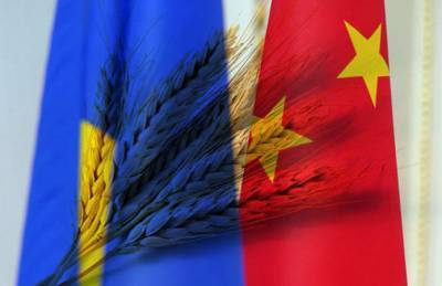 В свободной экономической зоне Китая создадут торговый павильон для украинской агропродукции