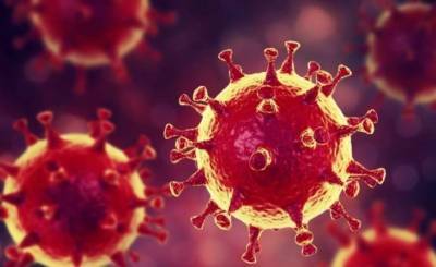 Коронавирусом в мире заразилось более 111 миллионов человек