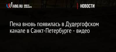 Пена вновь появилась в Дудергофском канале в Санкт-Петербурге — видео