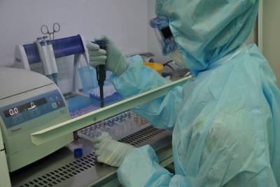 Шестеро новосибирцев скончались от коронавируса за сутки