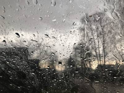 В последний день зимы Украину накроют дожди, — Укргидрометцентр