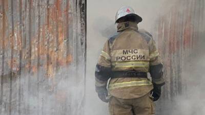 Спасатели нашли два трупа на месте пожара в Томской области