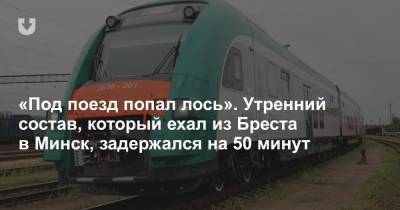 «Под поезд попал лось». Утренний состав, который ехал из Бреста в Минск, задержался на 50 минут