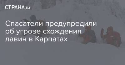 Спасатели предупредили об угрозе схождения лавин в Карпатах