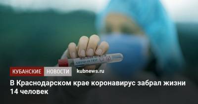 В Краснодарском крае коронавирус забрал жизни 14 человек