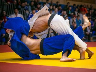 В России из-за массовой драки осетинских и дагестанских болельщиков отменили турнир по дзюдо