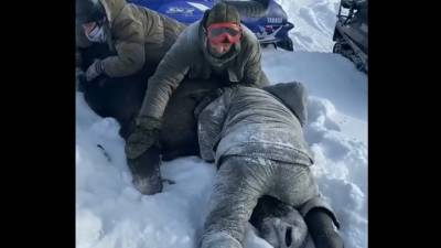 Охотники на снегоходах загнали лосиху и задушили обессилевшее животное
