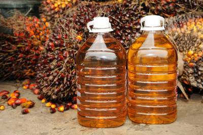 В Украине подготовлен проект закона о запрете пальмового масла