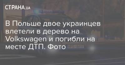 В Польше двое украинцев влетели в дерево на Volkswagen и погибли на месте ДТП. Фото