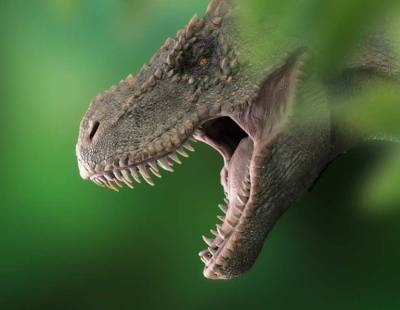 Ученые доказали новую теорию о превосходстве тираннозавров