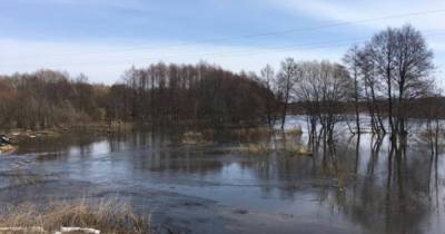 На западе Украины повышается уровень воды в реках: возможные подтопления