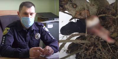 В Золочевском районе собака принес ногу человека - детали расследования, видео - ТЕЛЕГРАФ