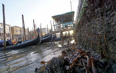 В Венеции после наводнения пересохли каналы: что произошло