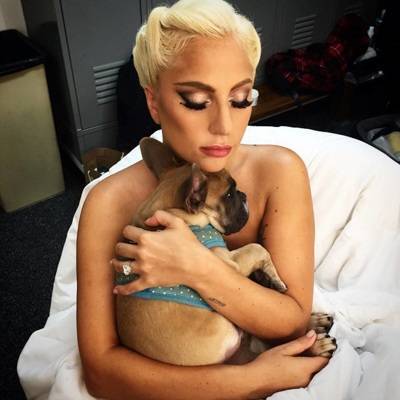 Леди Гага заплатит почти $100 тыс. за лечение своего помощника