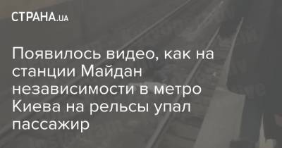 Появилось видео, как на станции Майдан независимости в метро Киева на рельсы упал пассажир