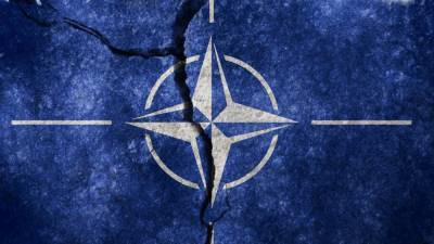 Дандыкин оценил риски возникновения войны между странами внутри НАТО