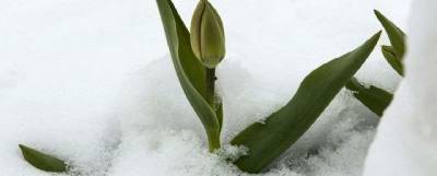 Весна в Волгоградской области начнется с сильного мороза
