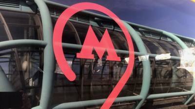 Движение поездов на фиолетовой ветке московского метро временно остановлено
