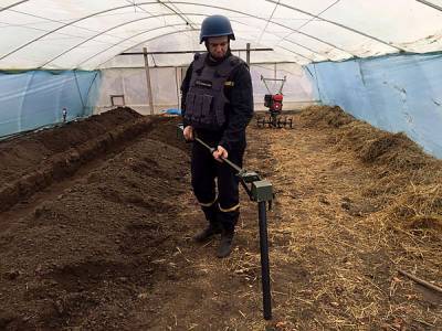 Минометные мины в огороде: мужчина откопал опасную находку на Николаевщине