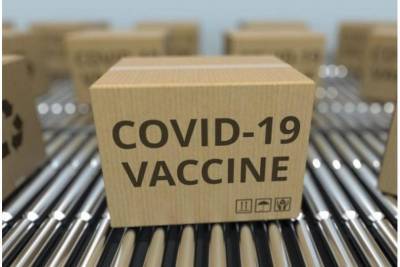 Германия поможет Чехии с вакцинацией от COVID