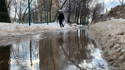 Синоптик спрогнозировал срок таяния сугробов в Москве