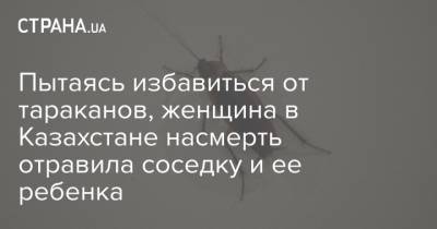 Пытаясь избавиться от тараканов, женщина в Казахстане насмерть отравила соседку и ее ребенка