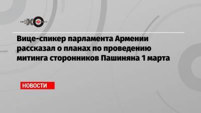 Вице-спикер парламента Армении рассказал о планах по проведению митинга сторонников Пашиняна 1 марта