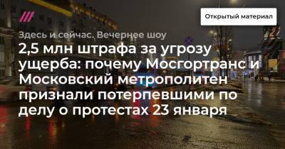 2,5 млн штрафа за угрозу ущерба: почему Мосгортранс и Московский метрополитен признали потерпевшими по делу о протестах 23 января