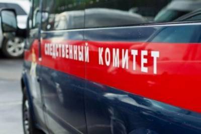 В Нижнем Новгороде возбудили дело по факту убийства семьи из 4 человек