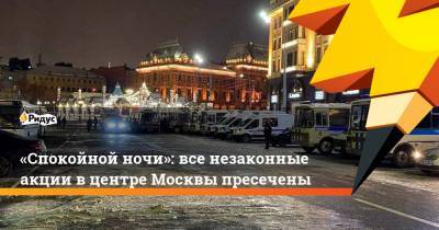 «Спокойной ночи»: все незаконные акции вцентре Москвы пресечены