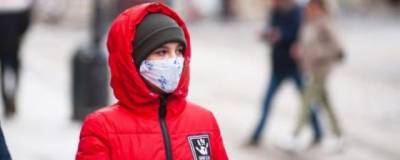В Петербурге заболеваемость коронавирусом снизилась за месяц на треть