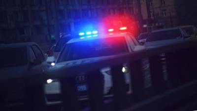 В Приморье пьяный угонщик автобуса протаранил патрульные автомобили